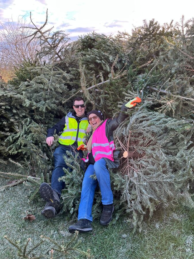 Relaxing in the trees!